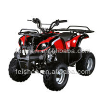 ДЕТСКИЕ ATV 110CC (FA-D110)